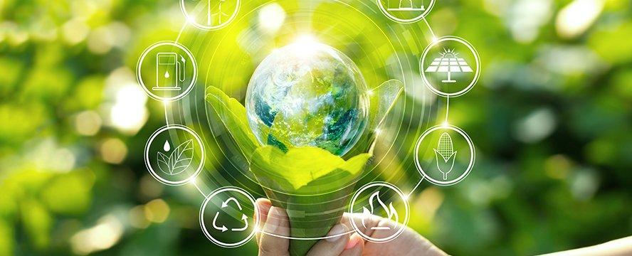 AdobeStock © ipopba